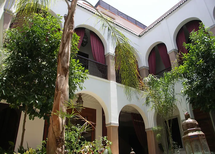 Riad El Noujoum