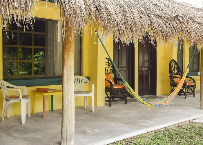 Albergue: Amigos Hostel Cozumel
