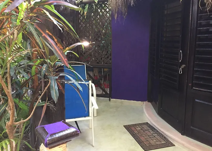 : Cocos Cabanas Playa Del Carmen Adults Only