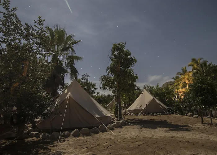 Hostel: Todos Santos Hostel Super Fast And Stable Satellite Wifi