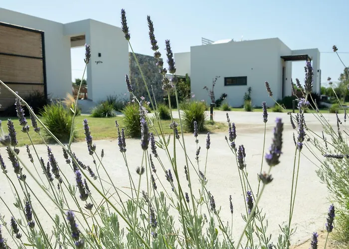 Vakantiehuis: Aphrodite Luxury Suites - Private Heated Pool & Jacuzzi