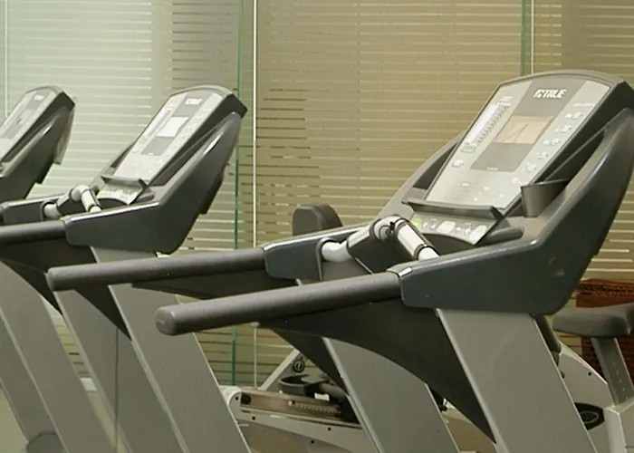 Hôtel accueillant les animaux: Nh Imperial Playa