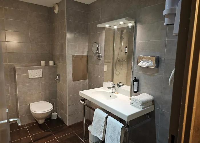 Hôtel accueillant les animaux: Hôtel 1er Consul Rouen