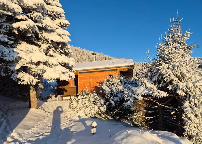 Cabine: Chalet Les Jonquilles