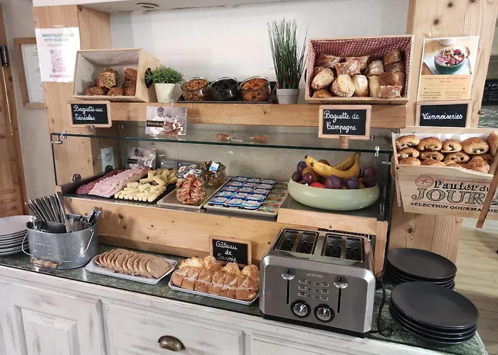 Hôtel accueillant les animaux: Atipik Hôtel Alexandra