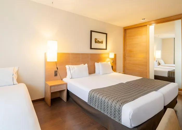 Huisdiervriendelijk hotel: Eurostars Lucentum