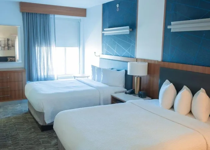 Beach hotel: Springhill Suites By Marriott Dallas Lewisville