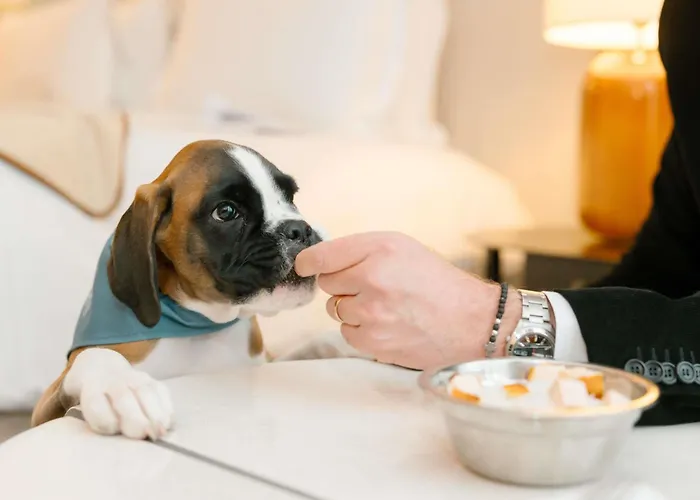 Spa Hotel: Sofitel Le Scribe Paris Opera