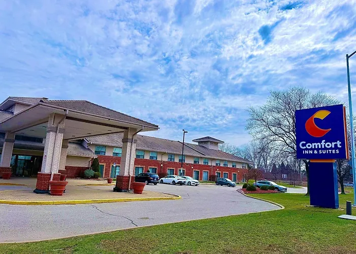 Pet Friendly hotel: Comfort Inn & Suites Ambassador Bridge