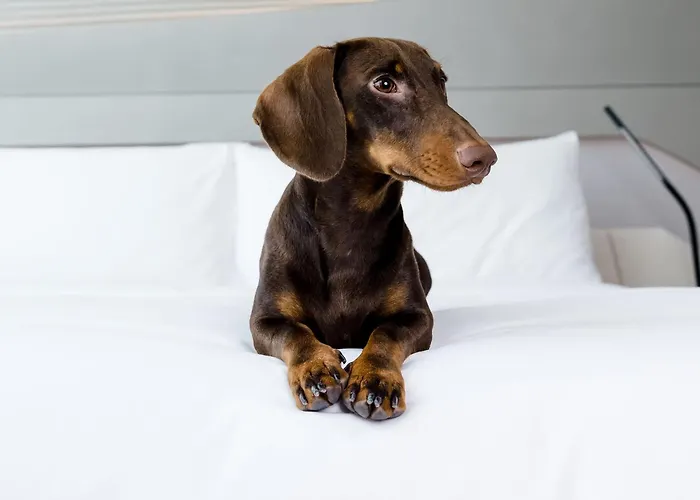 Hotel familiar: Melia Valencia