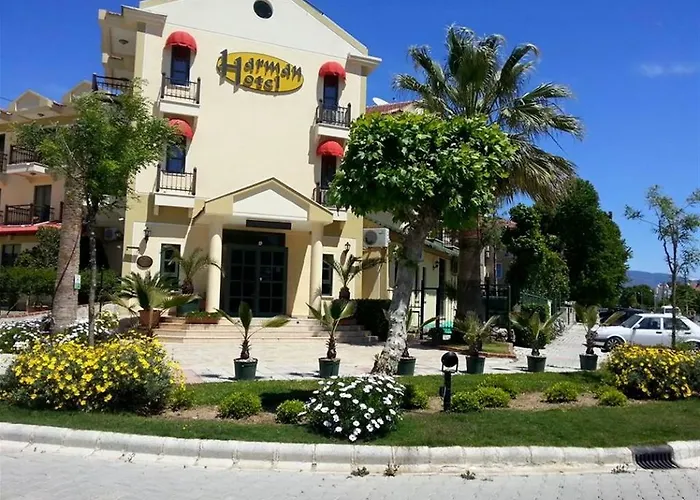 Ping Pong hotel: Harman Hotel