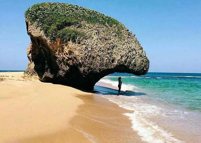 Vacation rental: Walk To The Beach 2Min, Cozy, Boutique, Pool, Palmeras Del Mar Isabela