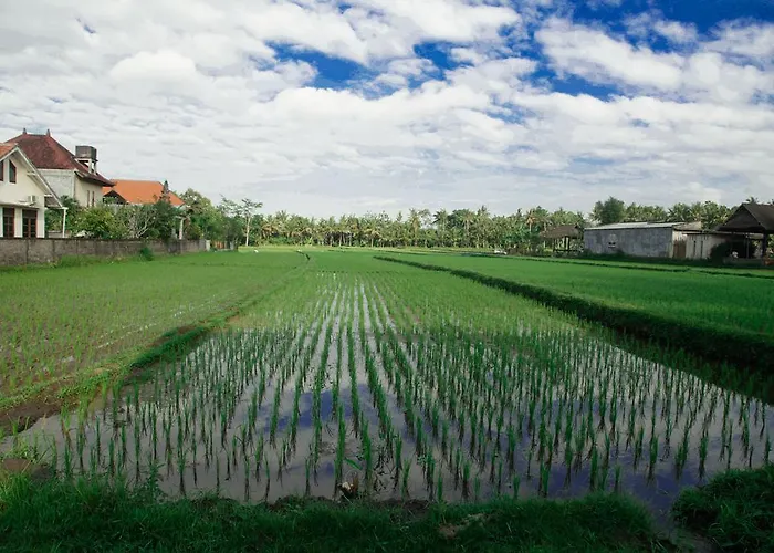 Hotel barato: Canang Sari House