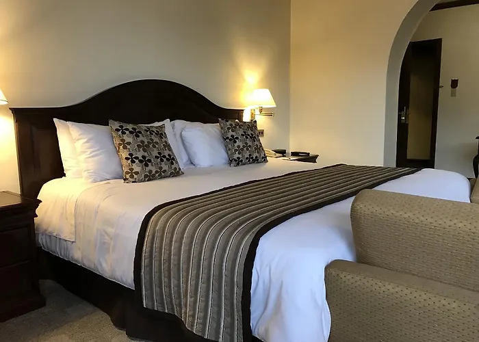 Pet Friendly hotel: Hotel Sebastian