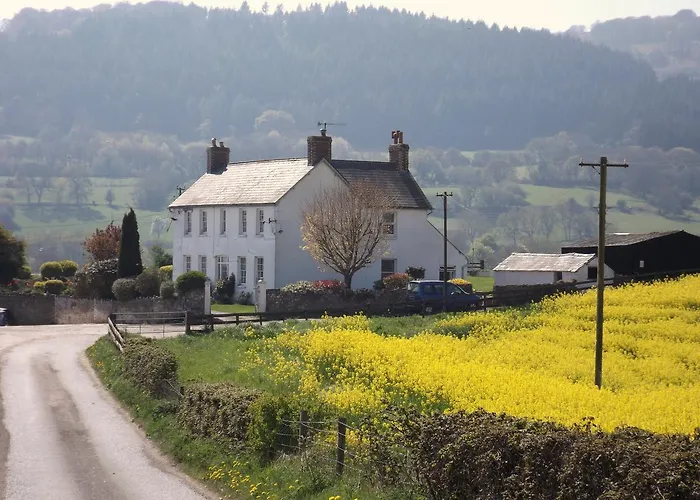 Cabin: Hardwick Farm