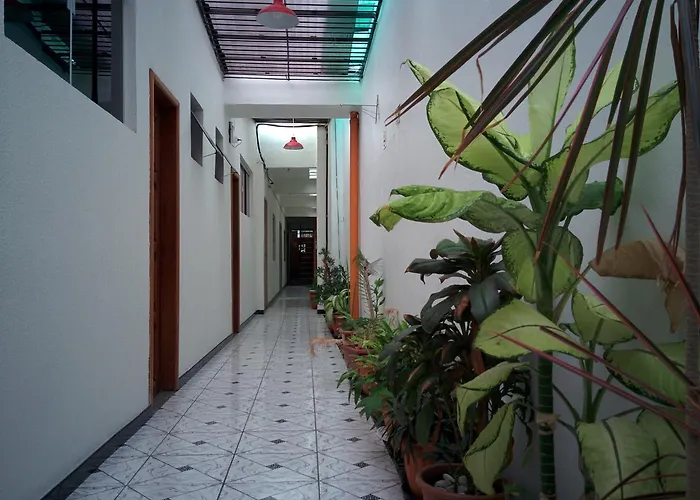 Hotel Toraryca