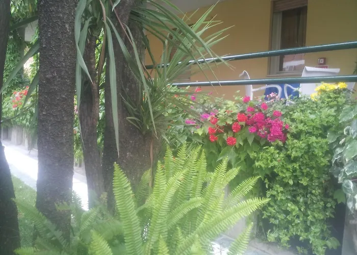 Hotel sulla spiaggia: Hotel Parco