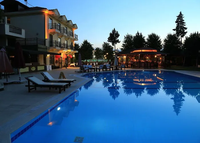Ping Pong hotel: Harman Hotel