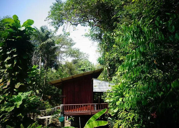 Hotel with view: Wooden Hut Koh Kood