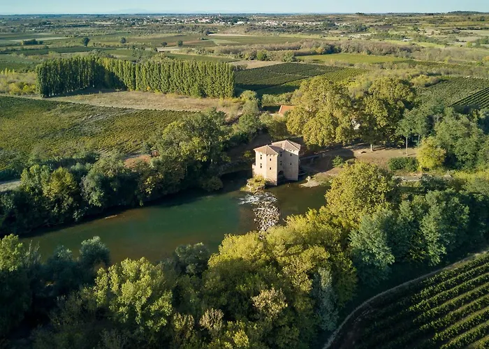 Hôtel accueillant les animaux: Le Moulin de Pézenas - Pierres d'Histoire