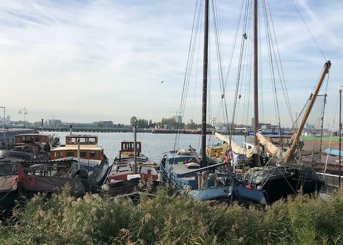 Hôtel avec tennis: B&B Bloom