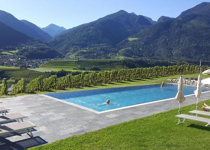 Hotel adatto agli animali: Hotel Pacherhof