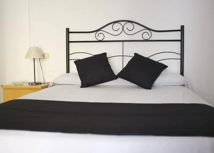 Hôtel accueillant les animaux: Hostal Europa